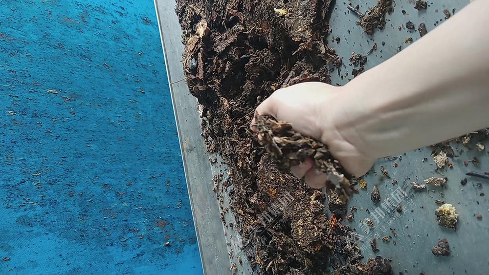 带式压滤机处理中药渣脱水