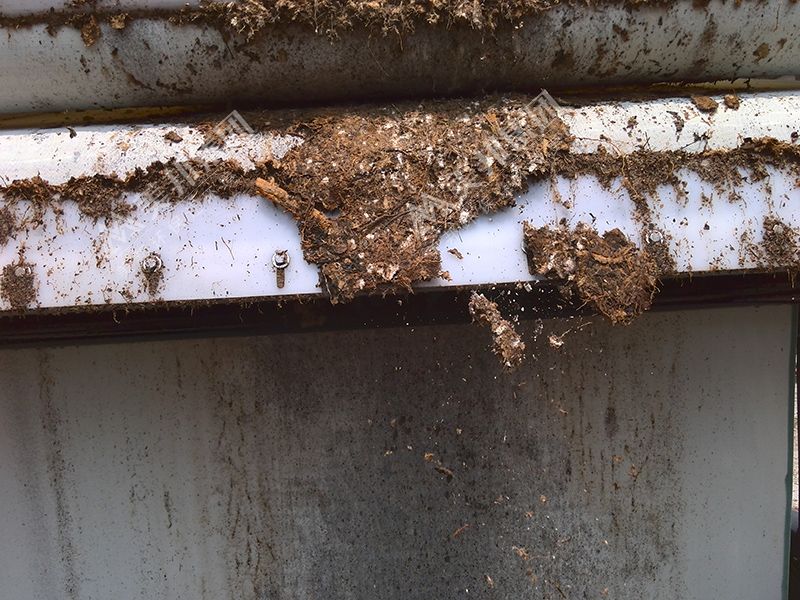 中药渣用美邦带式压榨机脱水效果