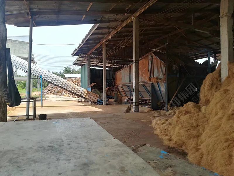 泰国客户使用美邦带式压榨机处理椰糠脱水