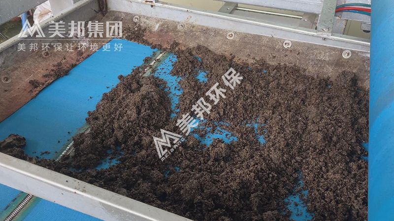 进入带式压榨机脱水处理的茶叶渣