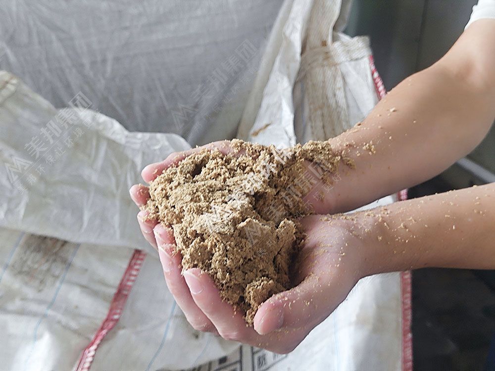 未进行脱水处理的啤酒渣