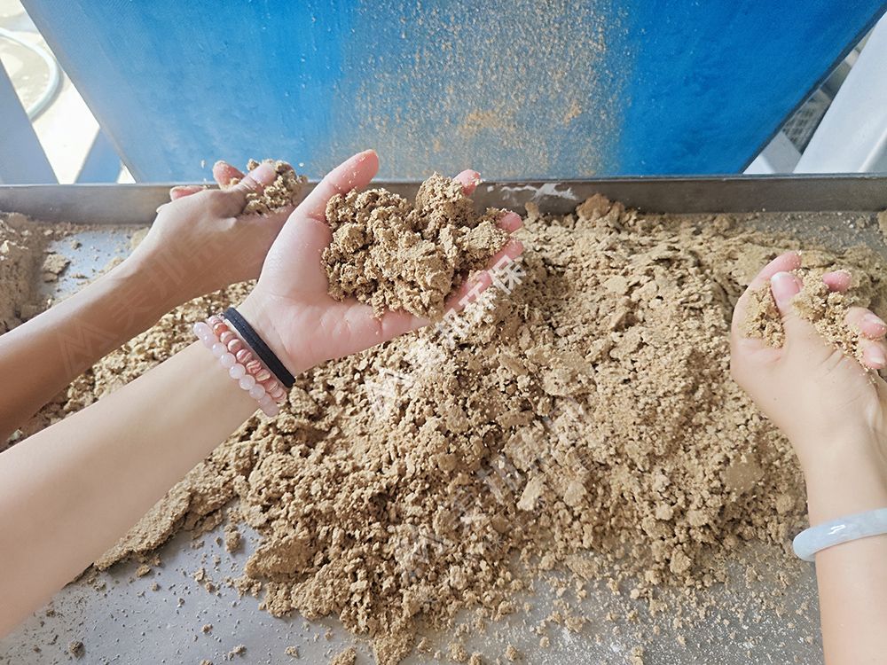 美邦带式压榨机处理酒糟和啤酒渣的脱水