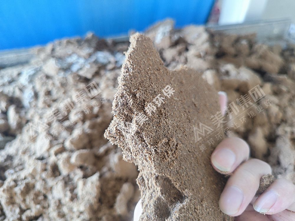 美邦强力对辊带式压榨机处理后的纸浆