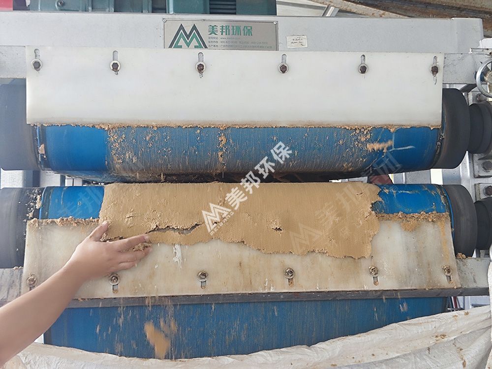 美邦带式压榨机处理后的啤酒糟